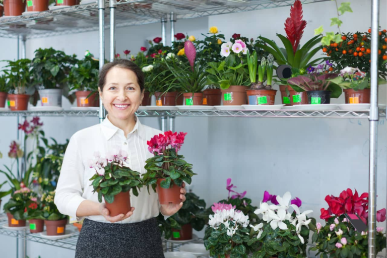 Floricultura: Como Escolher as Melhores Flores para Cada Ocasião