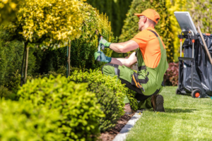 Quais São os Serviços de Jardinagem