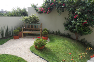 Dicas para ter um Jardim Lindo Gastando Pouco